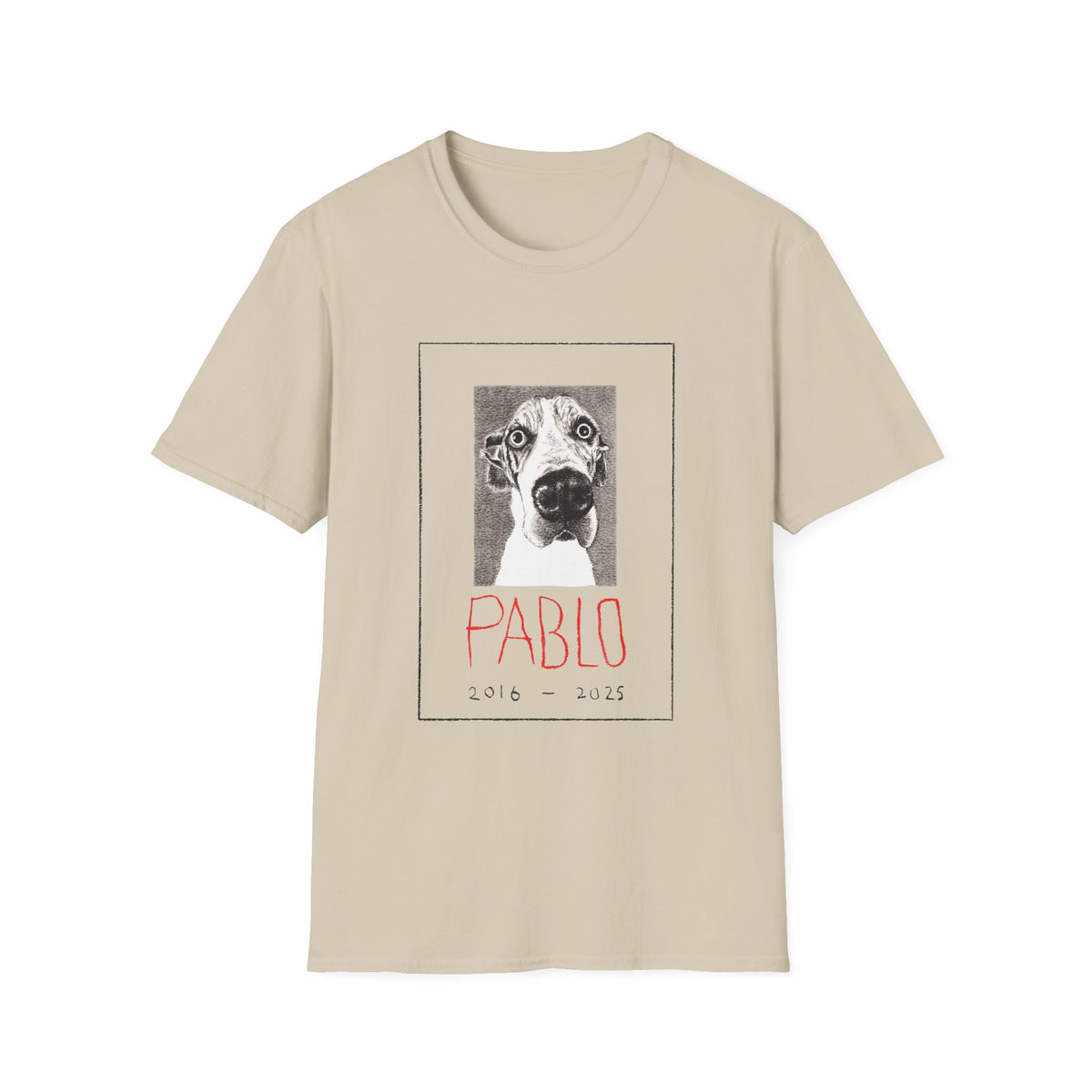 Pablo II T-Shirt