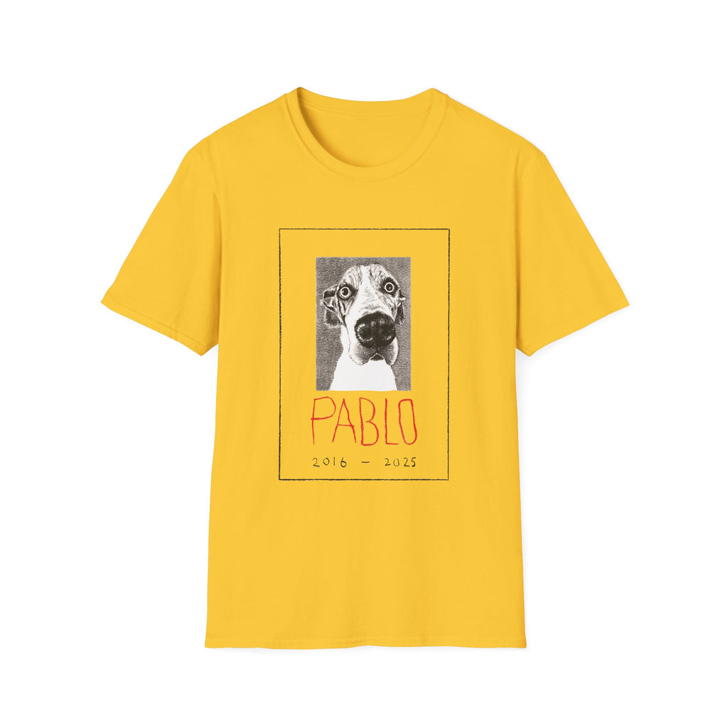 Pablo II T-Shirt