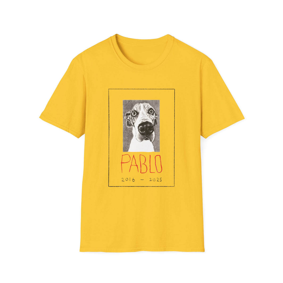 Pablo II T-Shirt